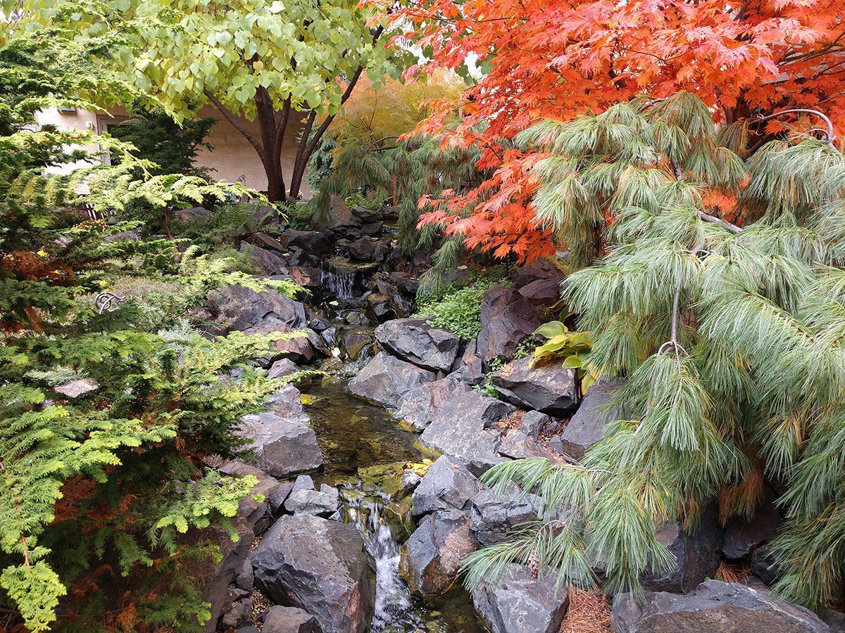 Fox17: Colorful Yard all Year Round