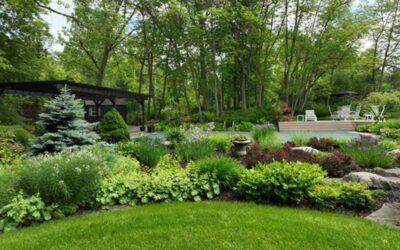 How to Prepare Your Yard for Spring