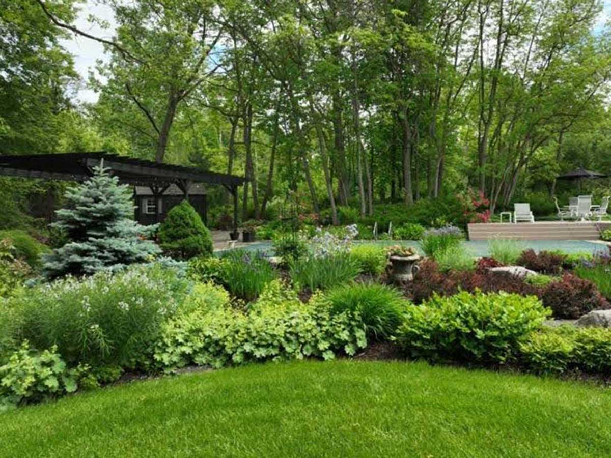 How to Prepare Your Yard for Spring
